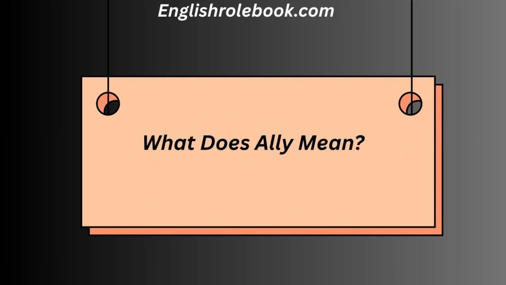 What Does Ally Mean?