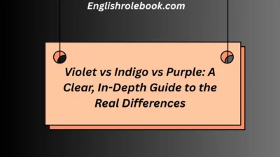 Violet vs Indigo vs Purple